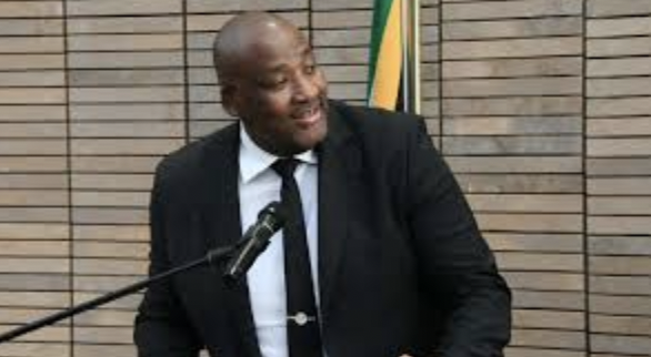 South African Minister Under Investigation Over Racial Slur Posts South African Minister Under Investigation Over Racial Slur Posts