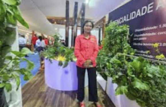 Mozambique Seeks Investment Route to Economic Recovery Through Agriculture Focus Mozambique Seeks Investment Route to Economic Recovery Through Agriculture Focus