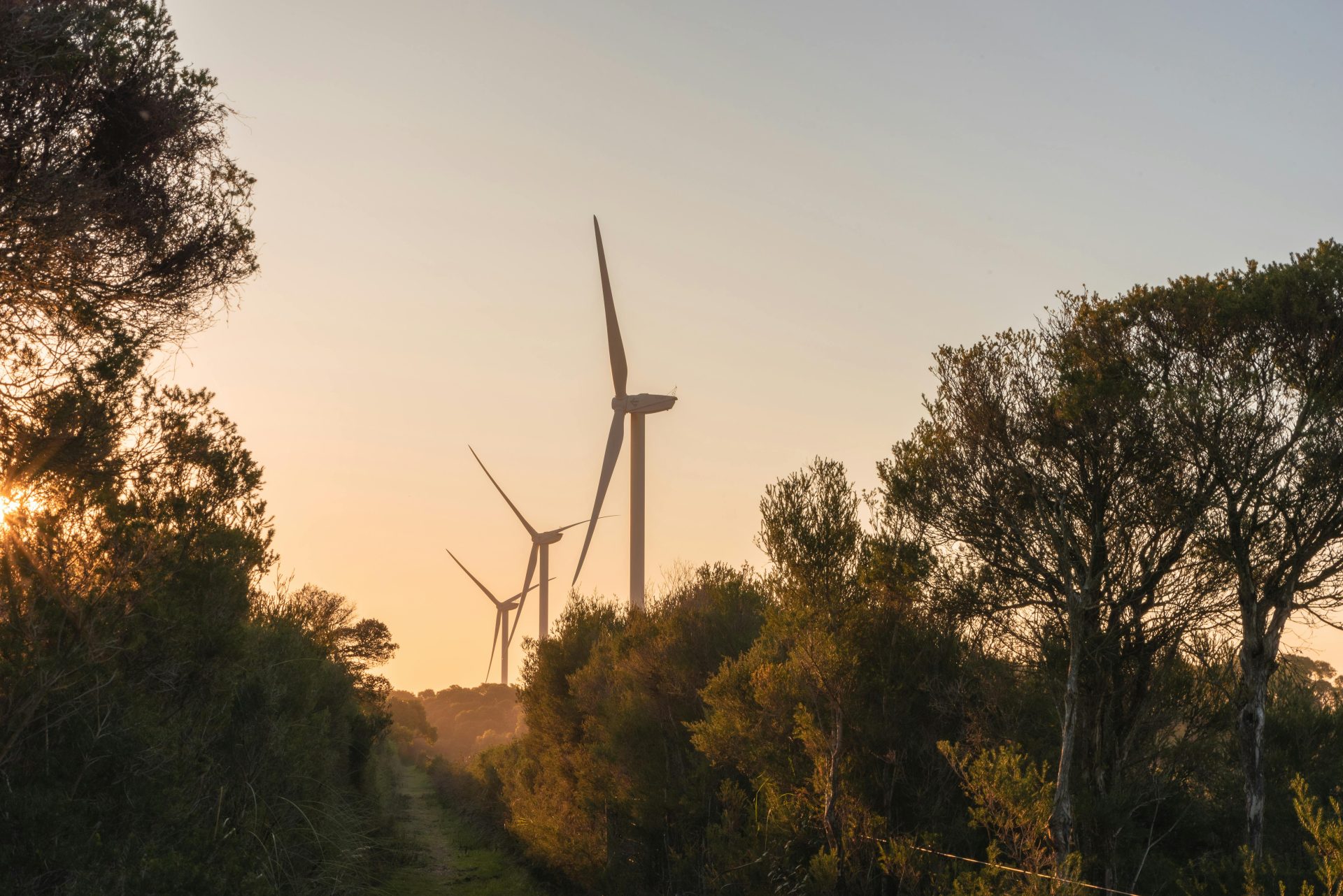 Australia: Coalition Proposes Nuclear; Labor Backs Renewables