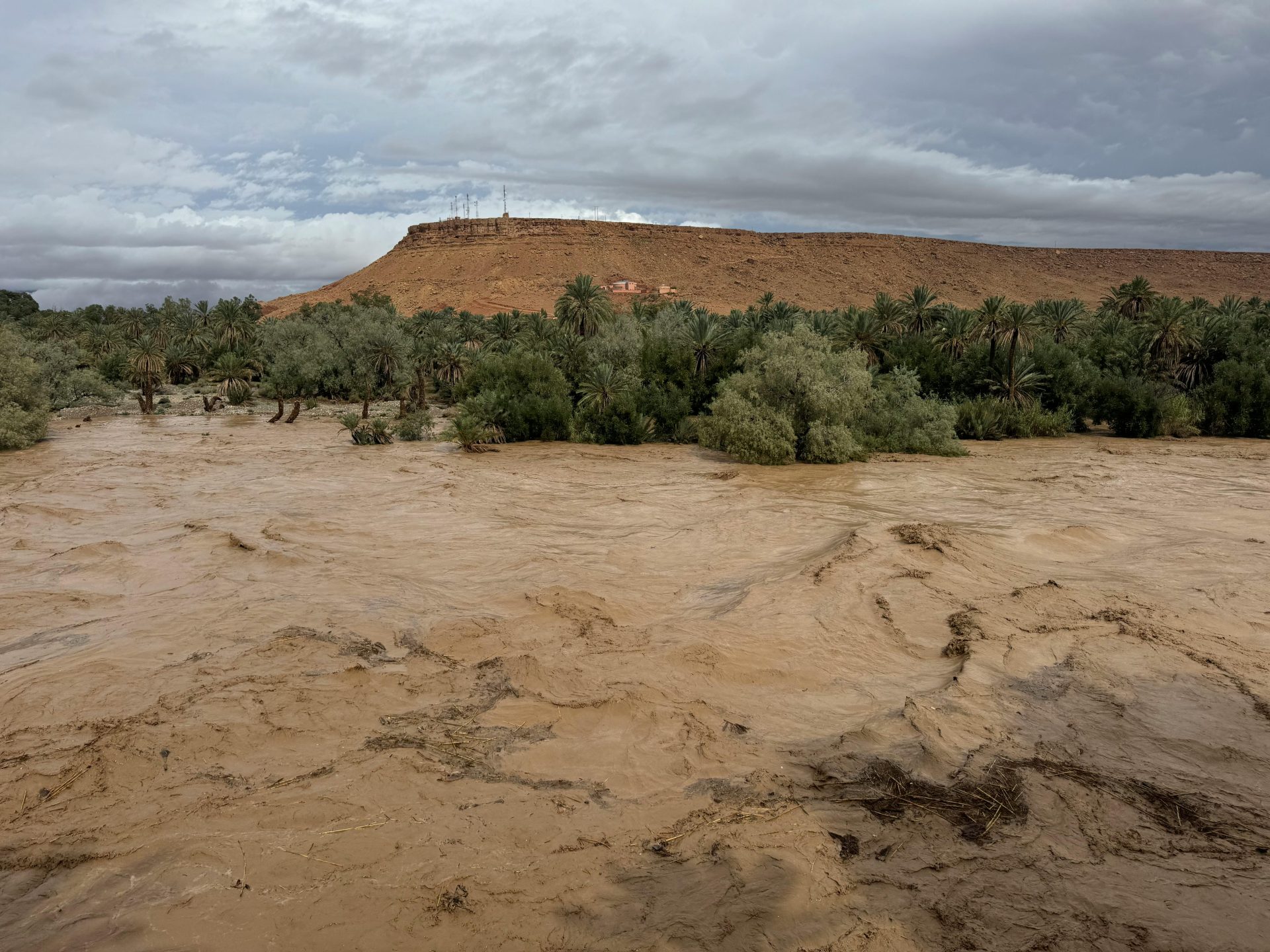 Flash Floods in Morocco’s Safi Province Kill 37