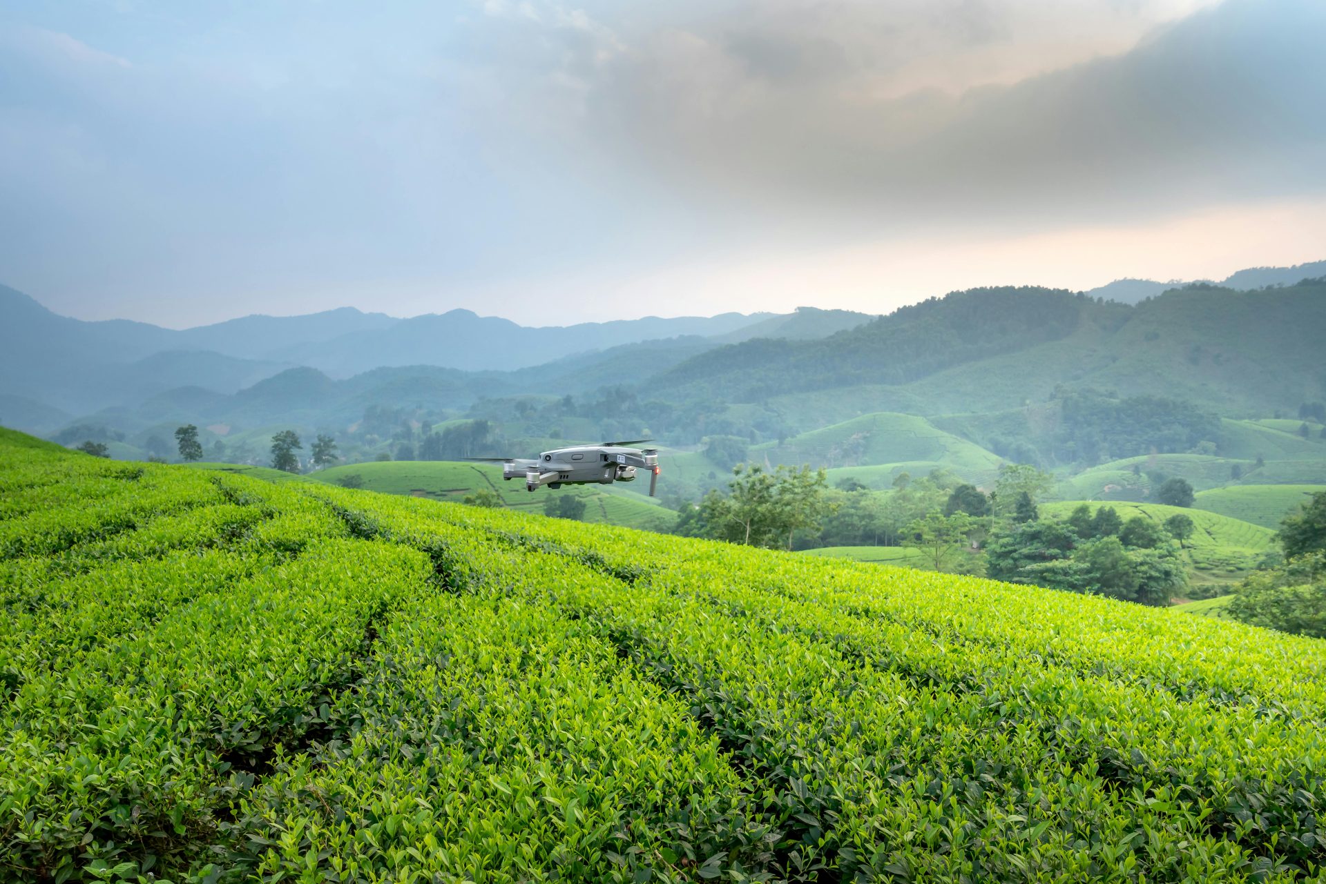 Tanganda Tea Seeks Shareholder Vote on USM Capital Raise