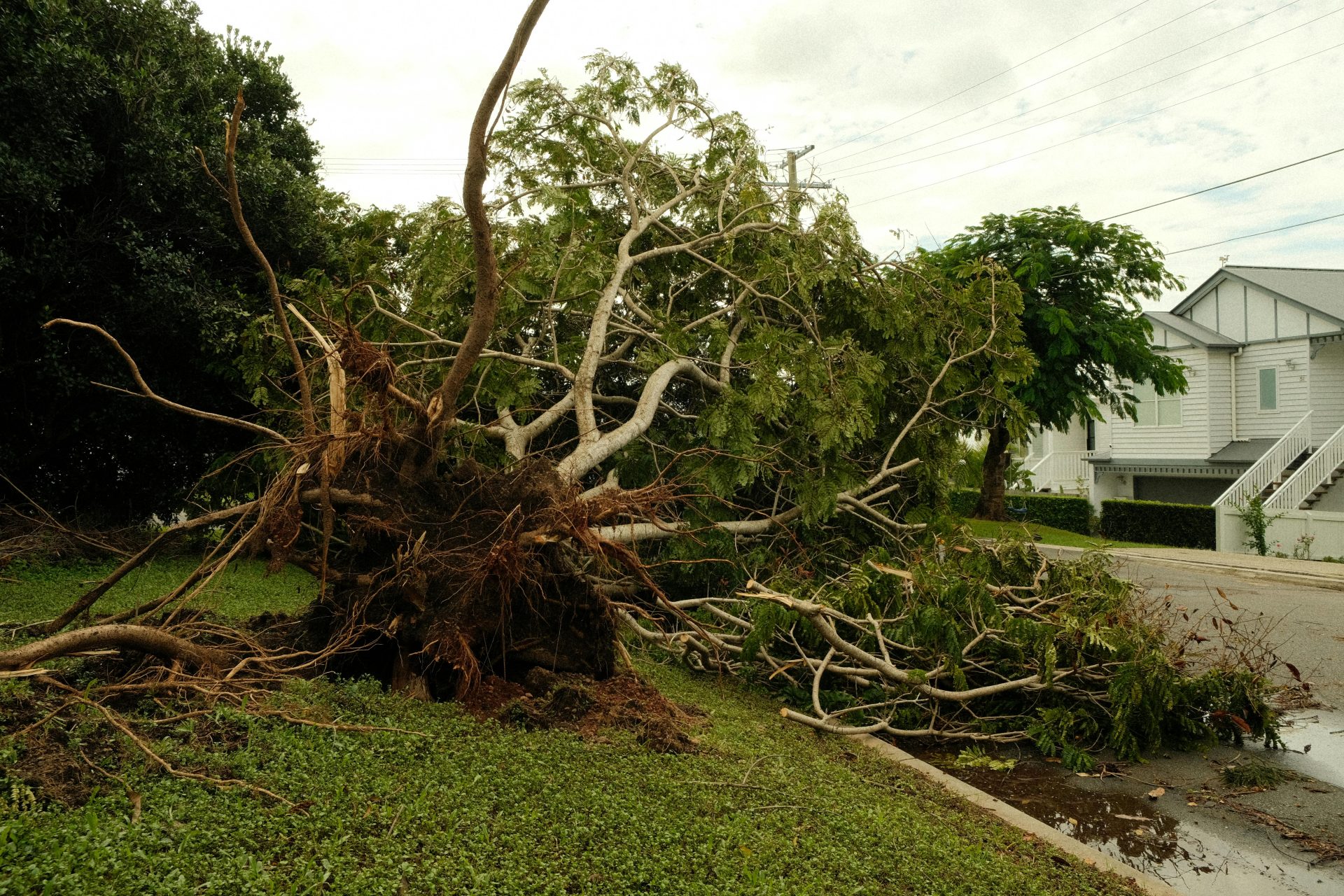 Cyclone Gezani: 45 Fatalities in Mozambique and Madagascar