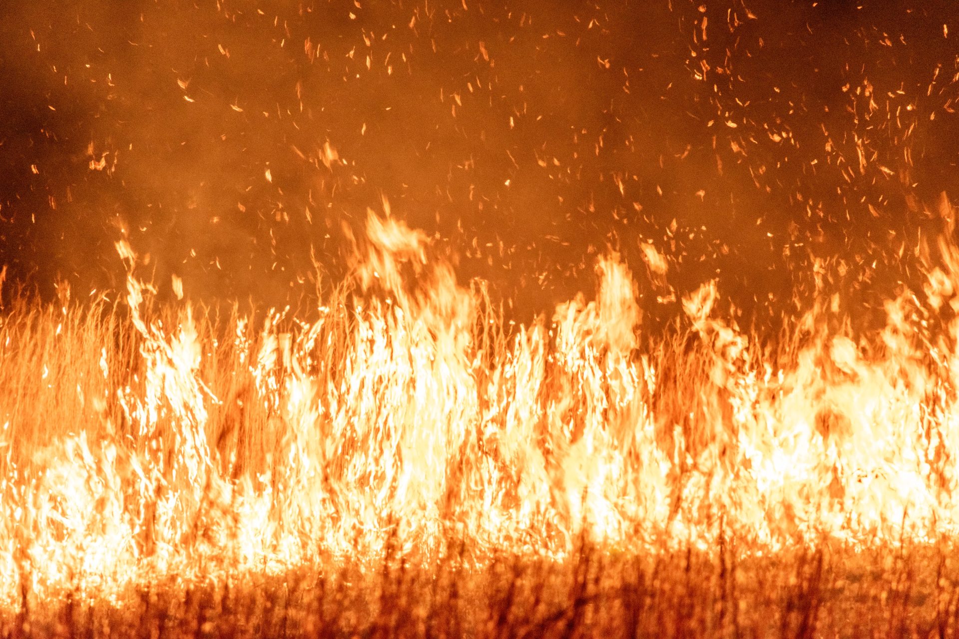 Wildfires in France and Spain Prompt 200,000 Evacuations