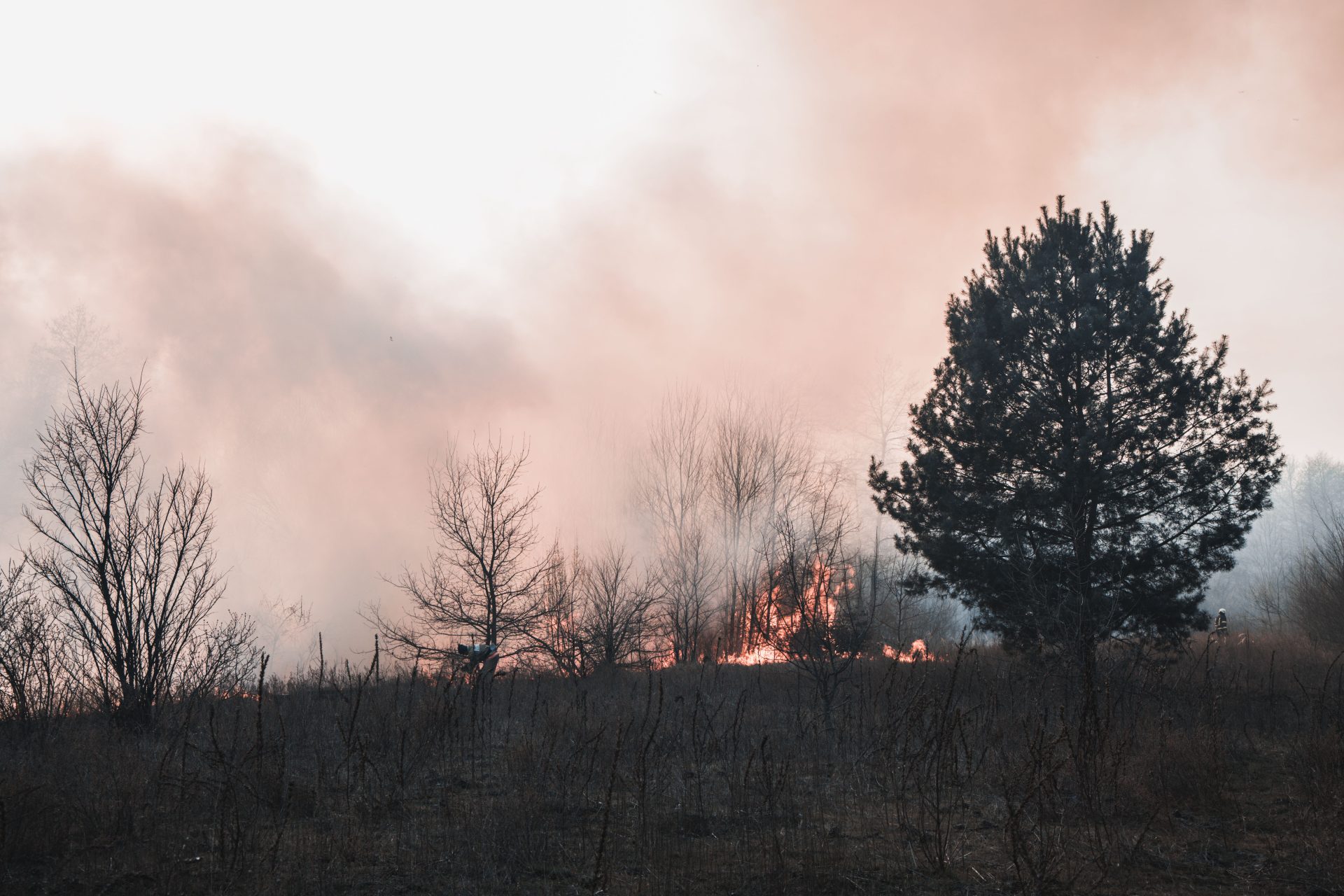 Wildfires in France, Spain Burn 119,000 Hectares; Evacuations