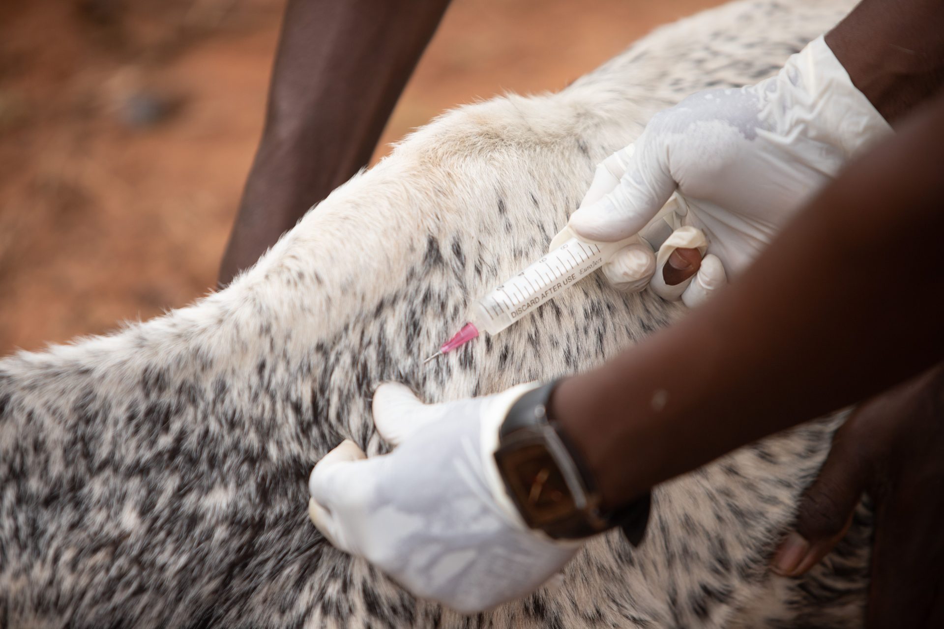 DR Congo Receives 16,250 Ebola Vaccine Doses for Outbreak