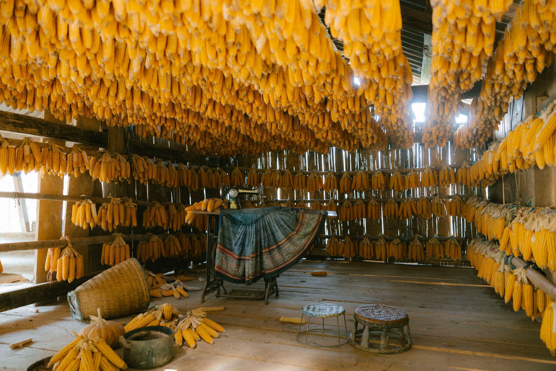 Zimbabwe Millers Suspend Operations in Bulawayo Over Maize Shortage