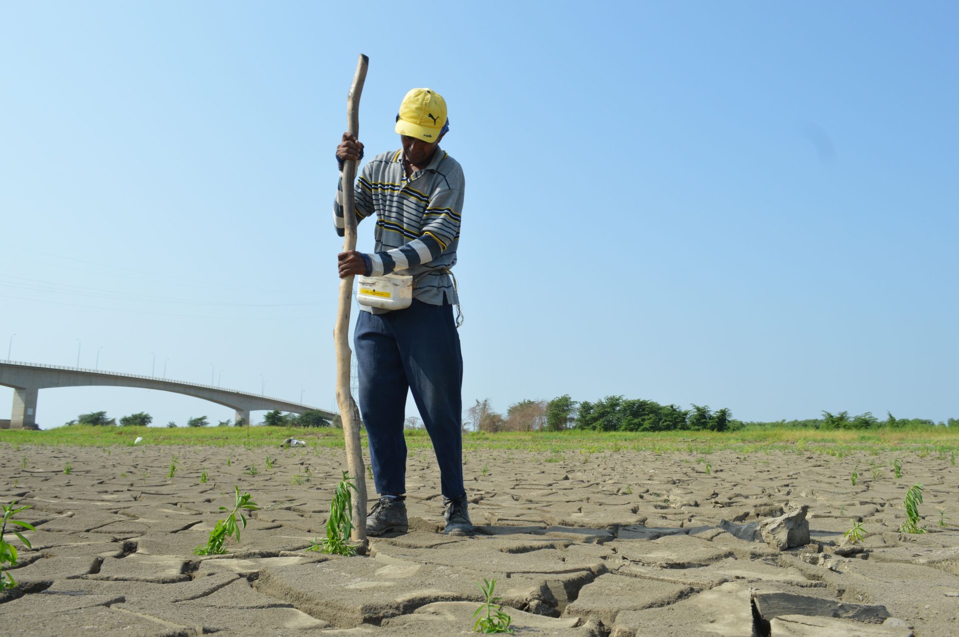 SAFIRE Announces M Land Restoration Plan in Zimbabwe