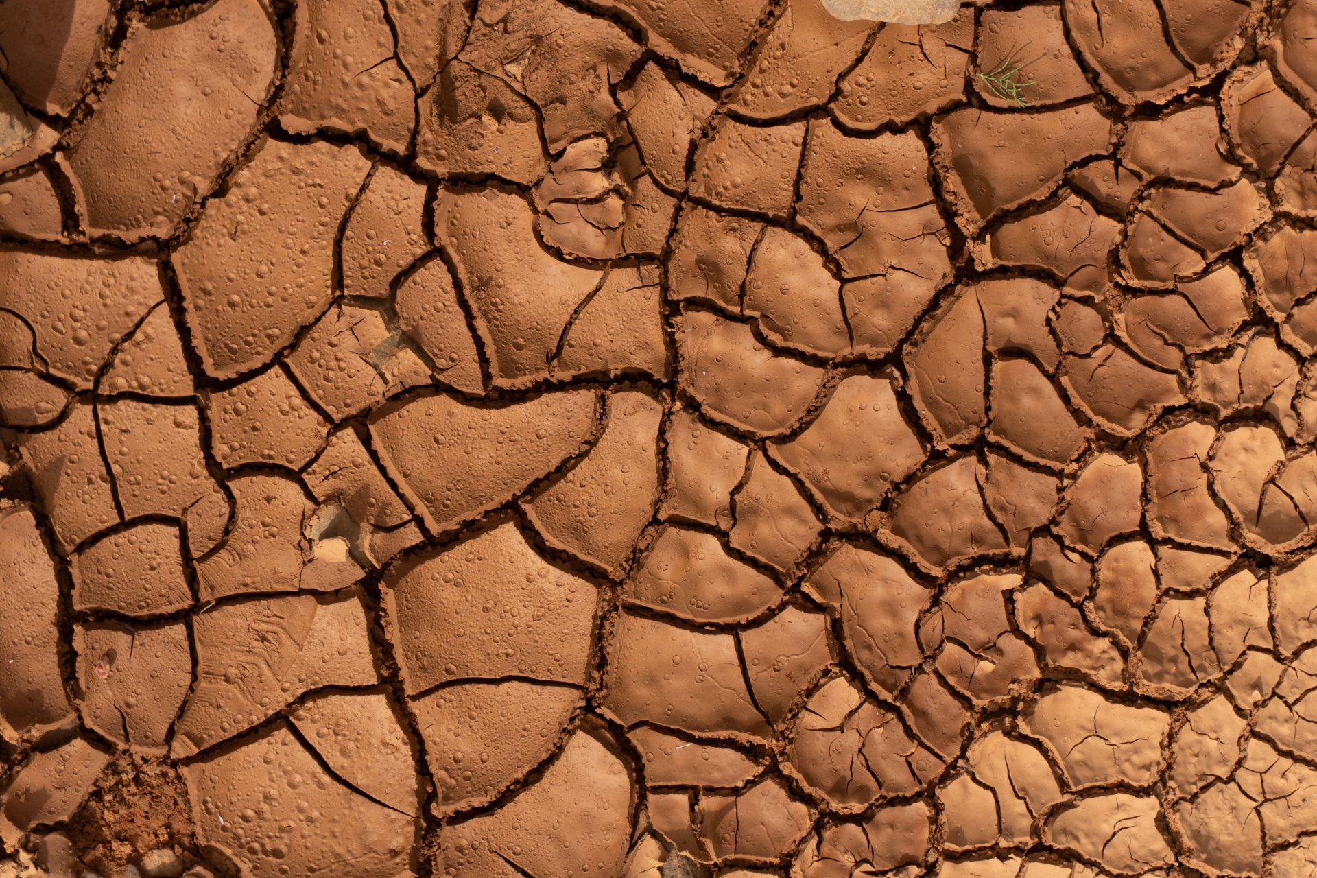Mongolia Hosts Global Land Restoration & Drought Conference