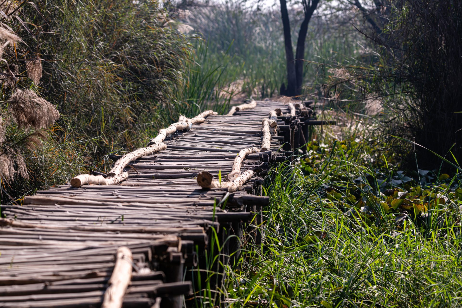 Harare Residents Secure Court Order Halting Wetland Construction