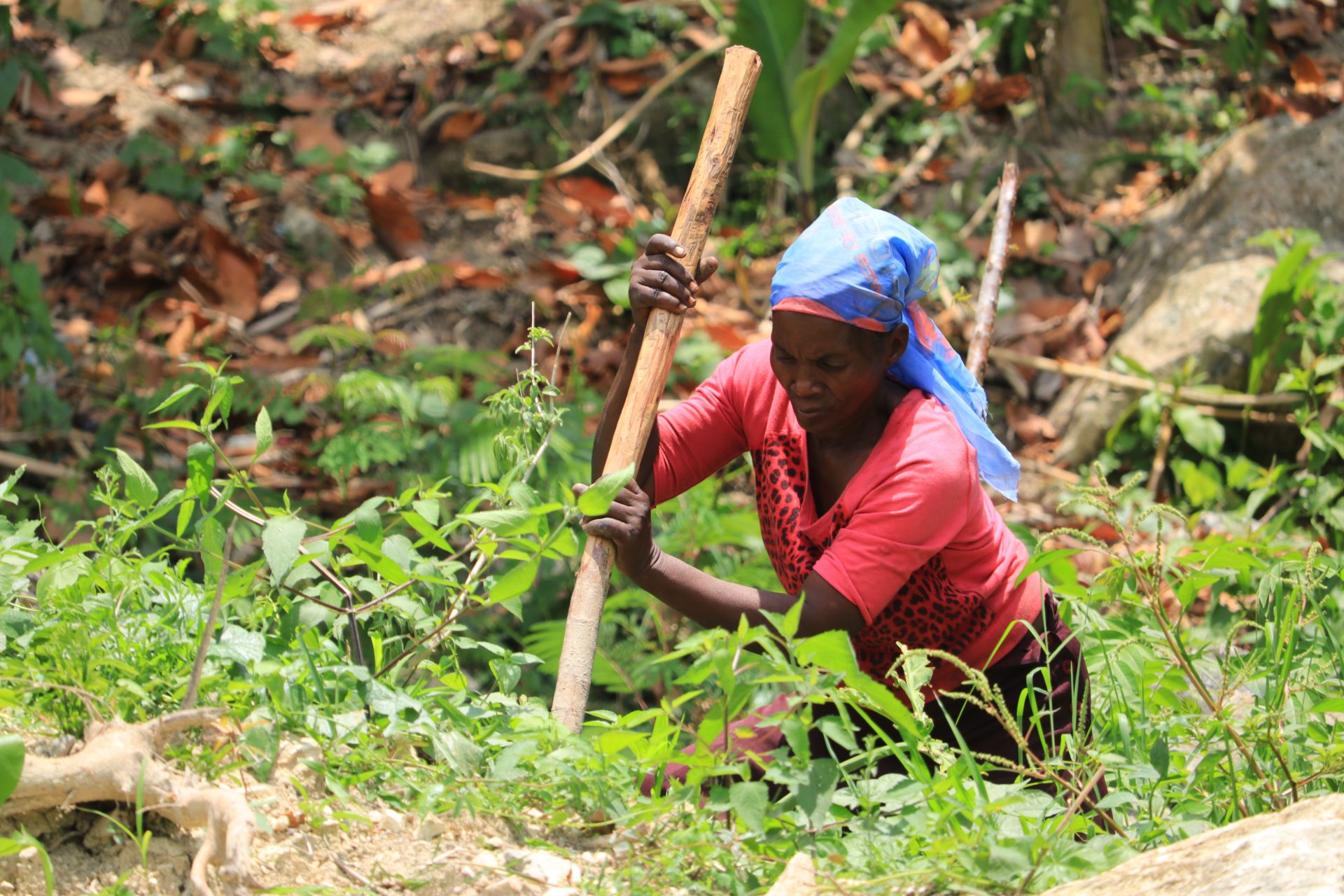 Zimbabwe Parliamentarians Seek Unpaid Care Work Law & Budget