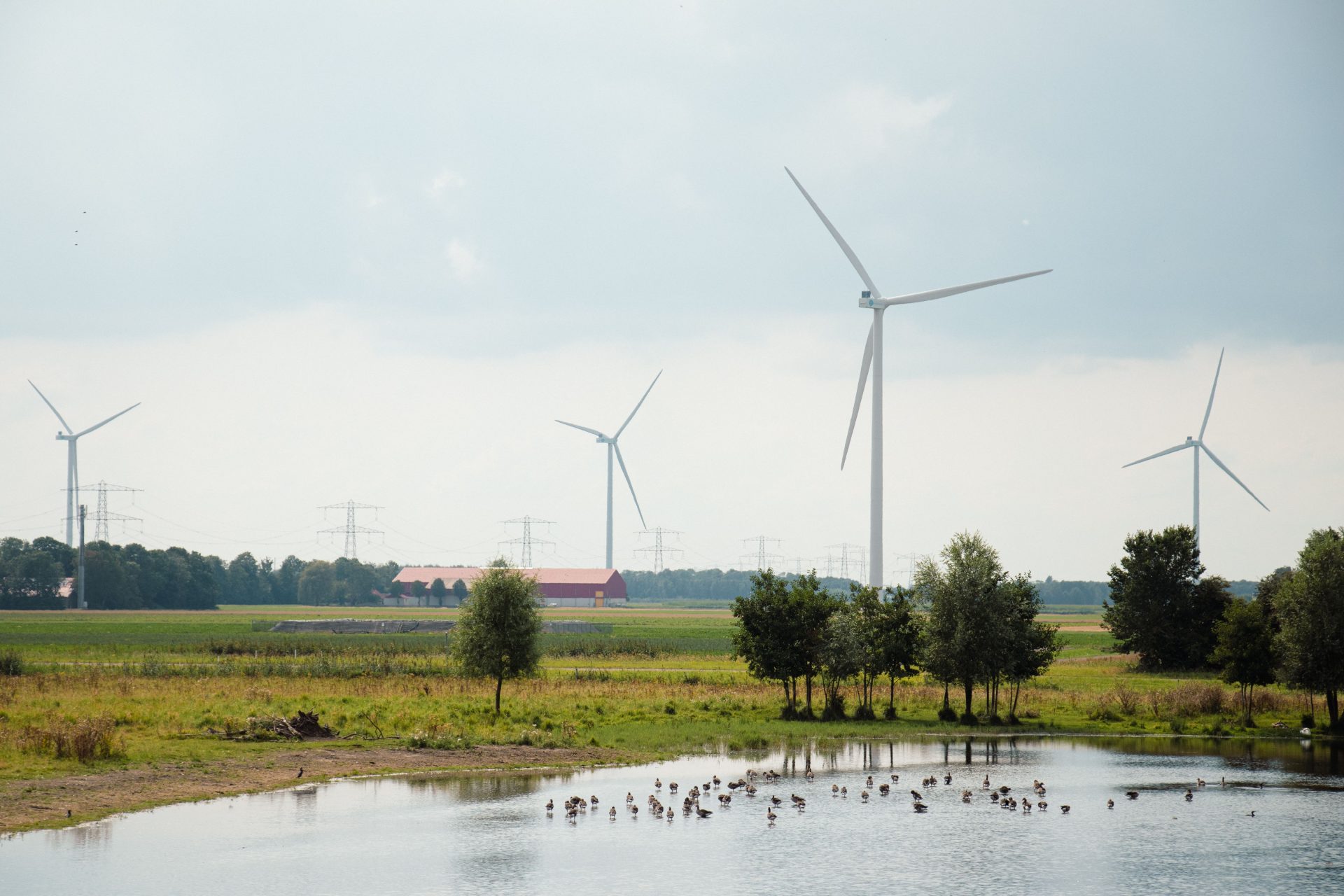 Europe, Asia See Increased Opposition to Data Center Projects