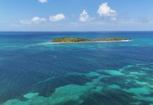 New Zealand Museum Releases 1938 Nikumaroro Island Photos Aerial perspective of a beautiful tropical island in St. Croix, bordered by pristine turquoise sea.
