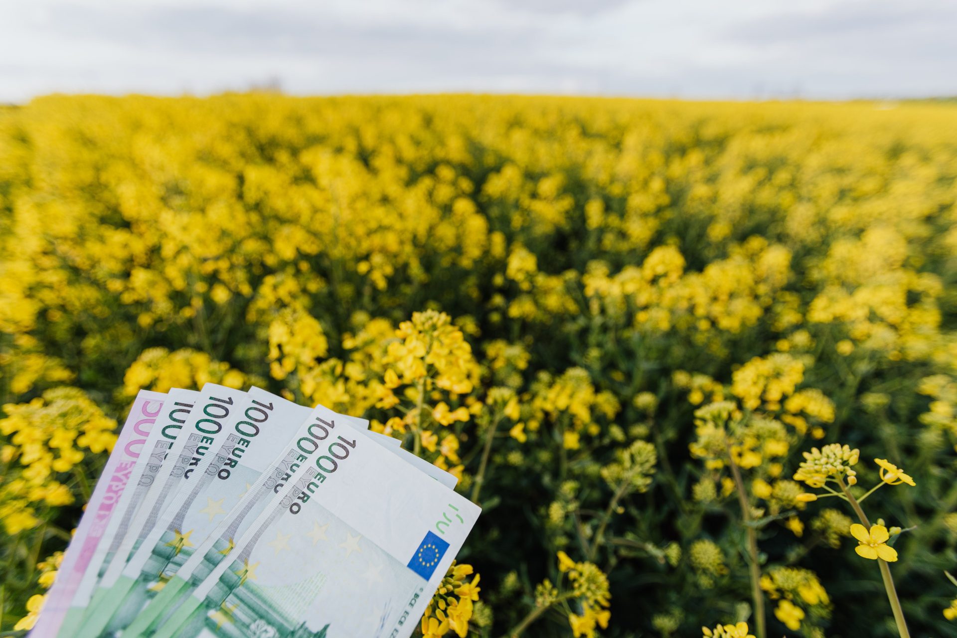 USDA: Record US Farm Debt Potentially Higher From Uncounted Sources