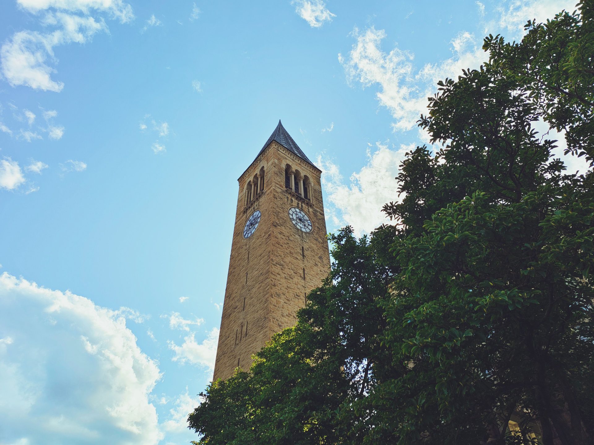 NY AG to Review Cornell Sexual Assault Allegation Investigation